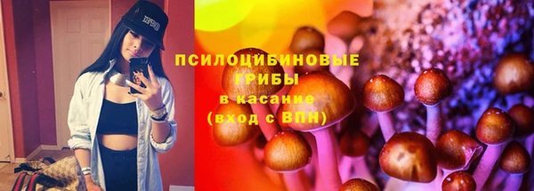 дурь Алзамай