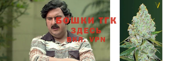 спайс Алексин