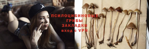 эйфоретик Пестово