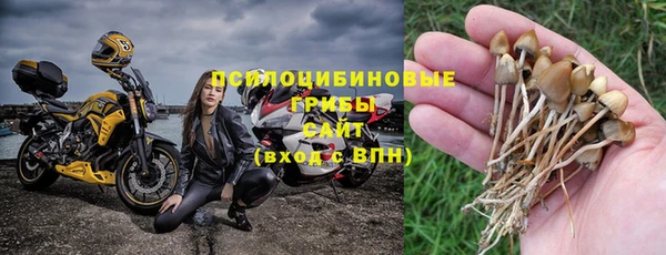 экстази Пересвет