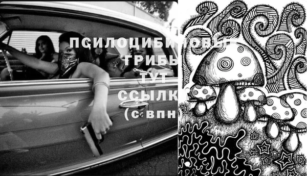 дурь Алзамай