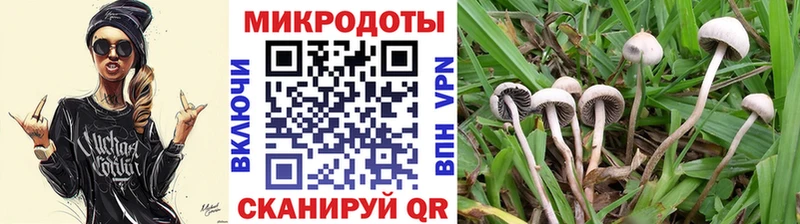 Псилоцибиновые грибы ЛСД Апшеронск