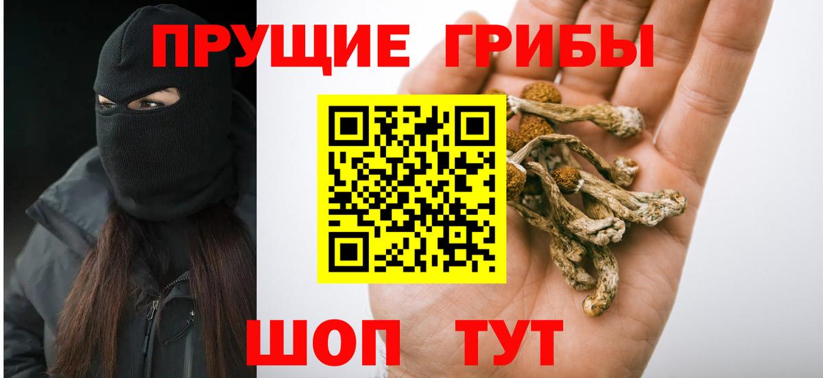 Галлюциногенные грибы Magic Shrooms  Вход с VPN  Галлюциногенные грибы ЛСД  Апшеронск 
